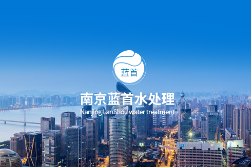 团风建站-南京蓝首水处理设备有限公司
